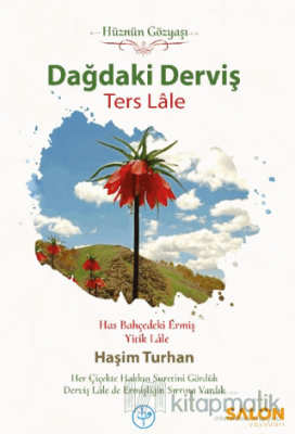 Dağdaki Derviş Ters Lale Haşim Turhan